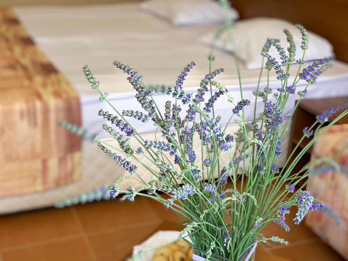 Hotel Plamena Palace Primorsko Eksteriør billede