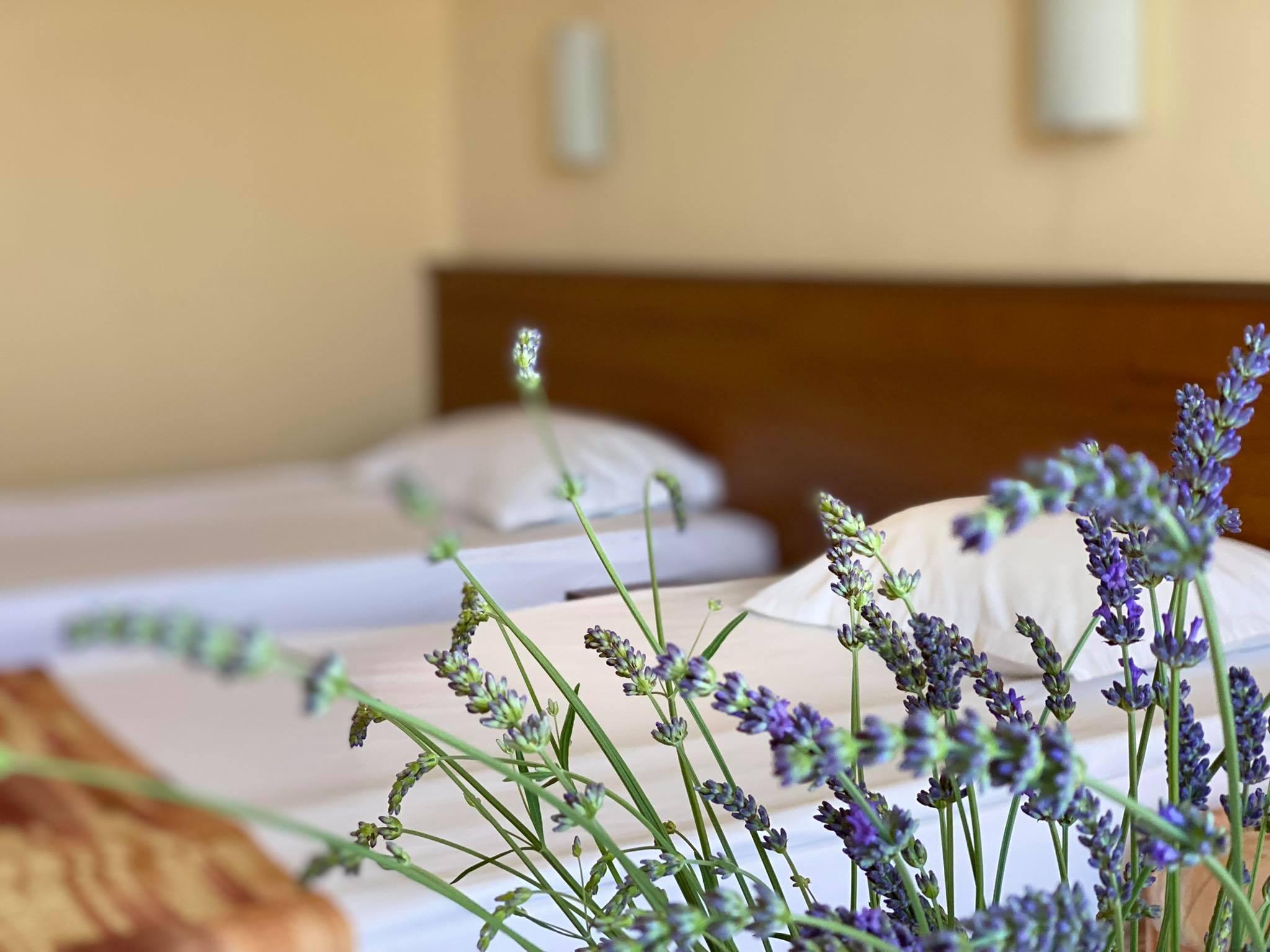 Hotel Plamena Palace Primorsko Eksteriør billede