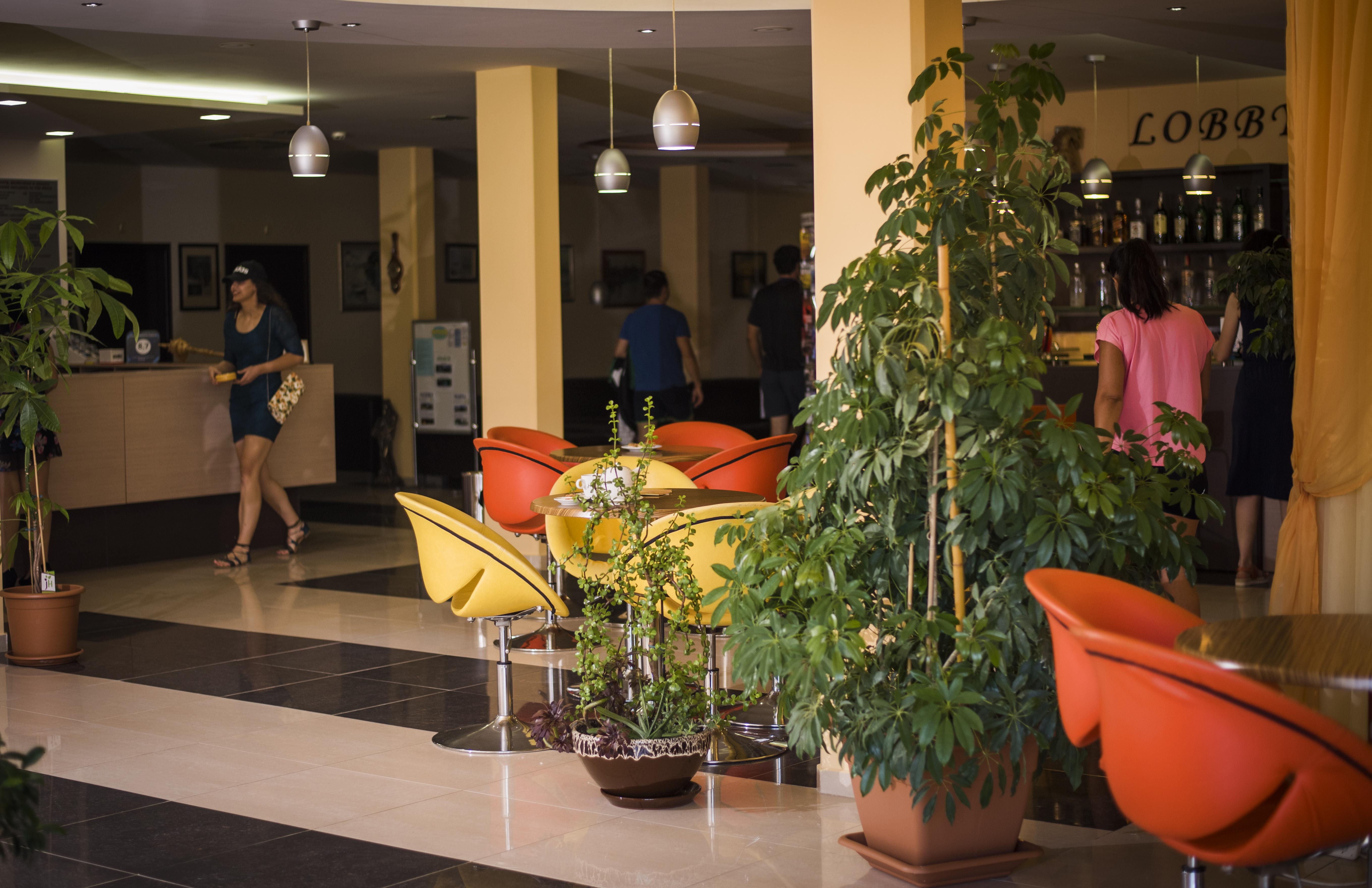 Hotel Plamena Palace Primorsko Eksteriør billede
